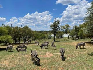 Lodge on Watering Hole , Zebula - Mabula - 2