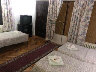 Vila Bojana - Gornji Milanovac - 6