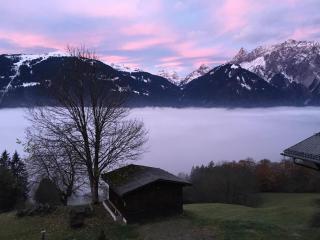 Kleines Paradies Montafon - Bartholomäberg - 5