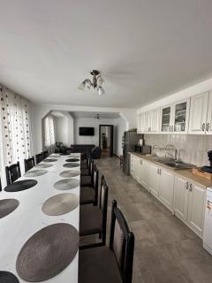 Vila Sorina - Borşa - 3