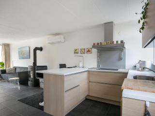 Holiday Home in Grou with Bubble Bath - 3