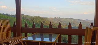 MOUNTAIN OF MAGICS - Ooty - 8