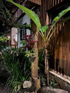 Planeta Banana Paraty - Paraty - 1
