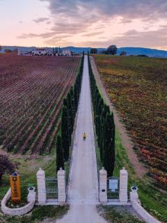 Fattoria Colsanto - 3