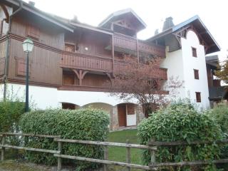 Appartement T2 au centre de Samoëns avec balcon, parking et accès navette ski. - FR-1-624-20 - Samoëns - 2