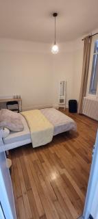 Sadi Carnot Appartement - Dijon - 7