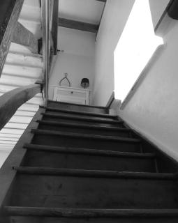 La Chouette Burgonde - Villy-le-Moutier - 6