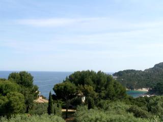 Illa blanca - Begur - 4