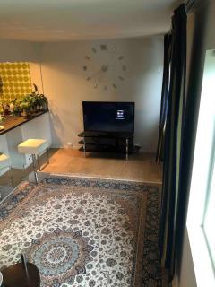 Big, spacious apartment with free parking - 6