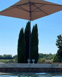 Jardin Meurin - Tabanac - 6