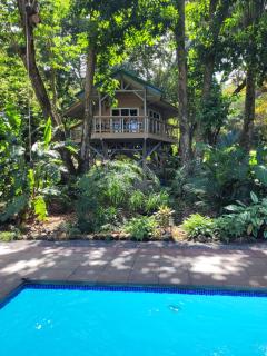 Treehouse La Hierba, Pavones - Pavones - 0