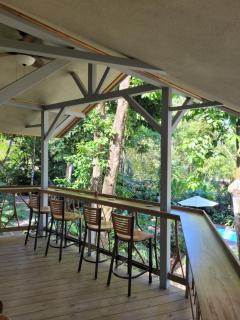 Treehouse La Hierba, Pavones - Pavones - 6
