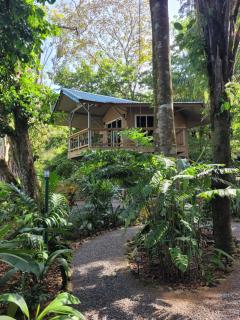 Treehouse La Hierba, Pavones - Pavones - 5