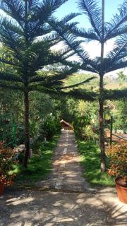 Brindhavan Home Stay - Vagamon - 2