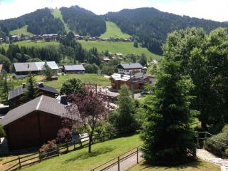 Les Gets - Appartement rénové 3 étoiles, face aux pistes, balcon et parking - FR-1-623-294 - Les Gets - 5