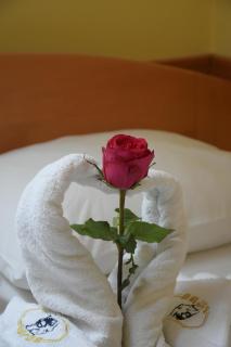 Hotel Lupus - Novi Sad - 0