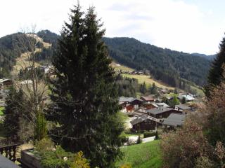 Studio avec terrasse et garage aux Gets - FR-1-623-221 - 4