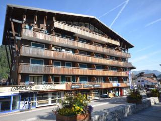 Studio cosy au pied des pistes des Chavannes, 4 couchages, proche commerces et activités - FR-1-623-224 - Les Gets - 6