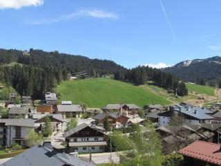 Les Gets - T2 avec balcon proche centre et télécabine, animaux acceptés, parking, 5 pers - FR-1-623-190 - 5