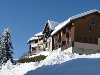 Les Gets - T2 avec balcon proche centre et télécabine, animaux acceptés, parking, 5 pers - FR-1-623-190 - Les Gets - 2