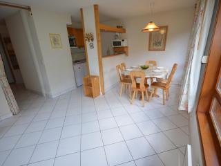 Appartement 3 étoiles aux Gets, skis aux pieds, balcon, parking et animaux acceptés - FR-1-623-125 - Les Gets - 7