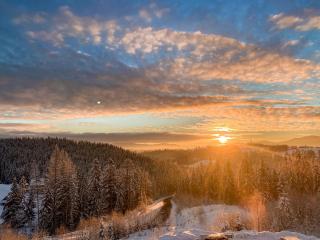 Rich OAK - готель з відкритим панорамний басейном - Yablunytsya - 3