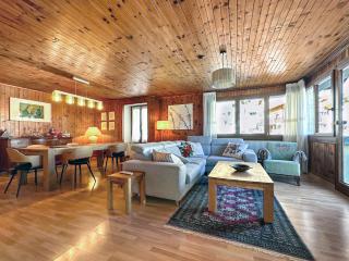 Chalet Familial l'Escapade - Les Marécottes - Swiss Alps - Les Marécottes - 7