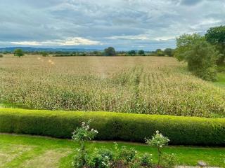 Golborne Manor Bed and Breakfast - 3