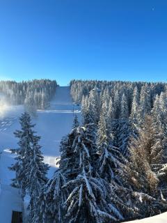 Woodside Lux Duplex - Kopaonik - 2
