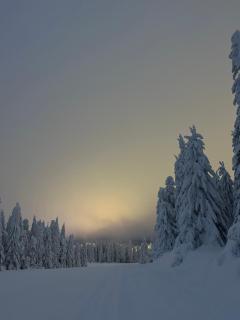 Woodside Lux Duplex - Kopaonik - 5