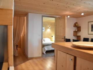 Appartement au cœur de Pralognan, proche pistes et commerces, 2 pièces, 4 pers. - FR-1-464-191 - Pralognan-la-Vanoise - 1