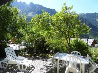Appartement 2 pièces avec terrasse et jardin privatif, calme, proche commerces et pistes de ski - FR-1-464-184 - Pralognan-la-Vanoise - 1