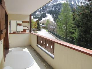 Appartement ensoleillé, 3 pièces, balcon sud, centre de Pralognan, proche commerces et téléphérique - FR-1-464-49 - Pralognan-la-Vanoise - 4