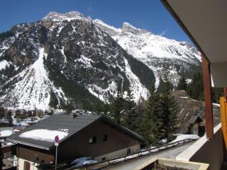 Appartement ensoleillé, 3 pièces, balcon sud, centre de Pralognan, proche commerces et téléphérique - FR-1-464-49 - Pralognan-la-Vanoise - 3