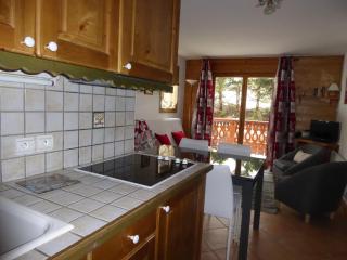 Rez-de-jardin cosy avec 3 pièces, proche pistes et centre de Pralognan-la-Vanoise - FR-1-464-55 - 1