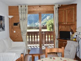 Charmant 3 pièces en rez-de-jardin, proche pistes, idéal familles - FR-1-464-57 - Pralognan-la-Vanoise - 7