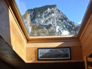 Duplex familial 7 pers, proche pistes, balcon, quartier résidentiel - FR-1-464-61 - Pralognan-la-Vanoise - 1