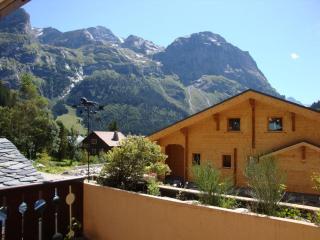Appartement Chaleureux avec Balcon Sud à 600m du Centre et Proche des Pistes, Pralognan-la-Vanoise - FR-1-464-62 - Pralognan-la-Vanoise - 2