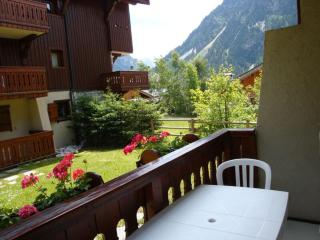 Appartement 3 pièces avec terrasse près des pistes - FR-1-464-63 - Pralognan-la-Vanoise - 1