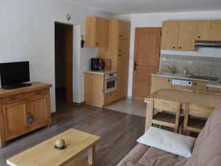 Charmant 3P PMR avec terrasse sud et parking, proche commerces et télécabine - FR-1-464-80 - Champagny-en-Vanoise - 0