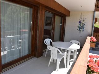 Charmant 3P PMR avec terrasse sud et parking, proche commerces et télécabine - FR-1-464-80 - Champagny-en-Vanoise - 7