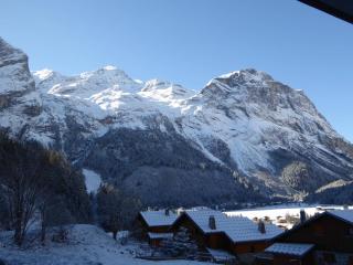 Confort familial près des pistes, calme en été, à Pralognan-la-Vanoise - FR-1-464-119 - Pralognan-la-Vanoise - 5