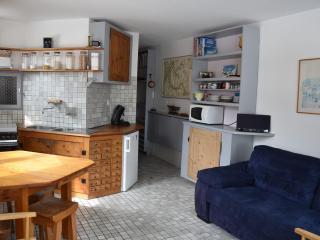 Charmant Appartement au Centre de Pralognan, Proche Téléphérique et Commerces - FR-1-464-132 - Pralognan-la-Vanoise - 0