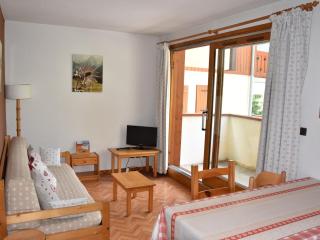Soleil, Balcon et Confort au Centre de Pralognan - 2 Chambres pour 4 Personnes - FR-1-464-112 - Pralognan-la-Vanoise - 0