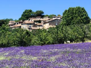 Gîte St Roch en Luberon - Castellet - 4