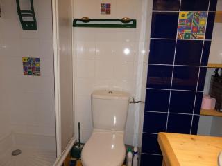 Spacieux Triplex pour 12 pers, Terrasse, Cheminée, Garage - FR-1-464-19 - Champagny-en-Vanoise - 5