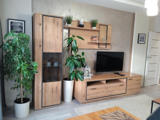 Apartament Grunwaldzka - Przemyśl - 1