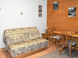 Charmant appartement proche des pistes, balcon, animaux admis - FR-1-464-6 - Pralognan-la-Vanoise - 6