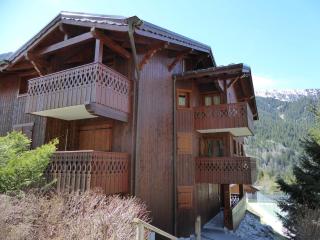 Charmant appartement proche des pistes, balcon, animaux admis - FR-1-464-6 - Pralognan-la-Vanoise - 1