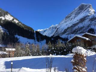 Charmant Rez-de-Jardin avec Terrasse dans Chalet Haut de Gamme proche Centre et Pistes de Ski - FR-1-464-29 - Pralognan-la-Vanoise - 2